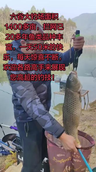 乙圩巴追村六谷大钓场,每天惊喜不断,欢迎各位钓友。