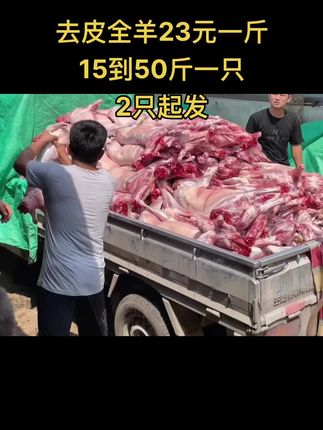 去皮全羊23元一斤，15到50斤一只，2只起发#全羊 #去皮全羊 #牛羊肉批发 #支持全国发货