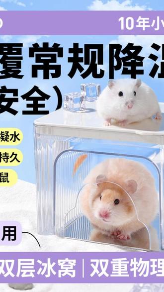 不会有冷凝水的空调房!加冰盒双重降温! #仓鼠空调房 #仓鼠冰屋 #仓鼠用品 #新手养鼠 #萌宠出道计划