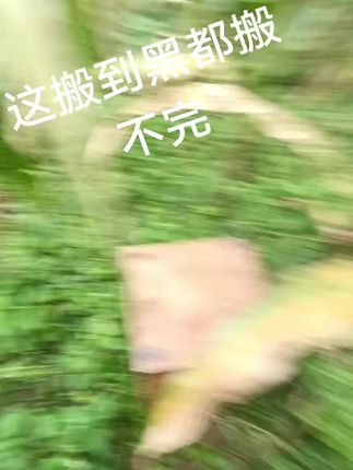 别人只看结果,自己独撑过程