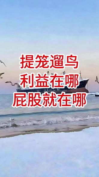 提笼遛鸟 ,利益在哪 ,屁股就在哪 #历史视角 #阶层认知#历史唯物主义 #五间大瓦房 #志新观天下
