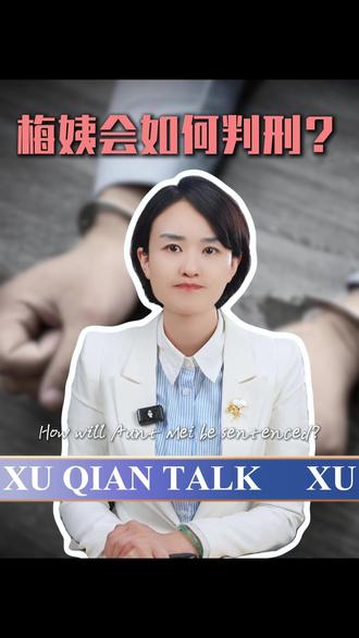 梅姨会如何判刑? #热点 #梅姨
