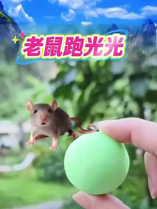 #老鼠驱赶器#老鼠驱避丸#老鼠驱赶神器#发动机舱驱鼠神器#车载驱鼠器#车载驱鼠膏#家用驱鼠丸