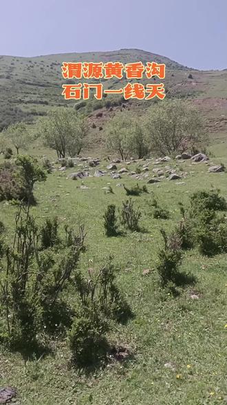 石门一线天 渭源,一个隐藏在深山之中的神秘之地,如今正敞开胸怀迎接您的到来。这里,自然风光旖旎,人文历史深厚,而石门雪山更是其中的一颗璀璨明珠。踏上这片土地,您将开启一段别样的旅程,领略大自然的神奇与魅力。谈及渭源,人们往往会联想到灞陵桥、渭河源、首阳山等标志性景点。然而,这片古土还藏有一处尚未完全开发的胜景——石门雪山。这里,高原草甸的辽阔与雪山花海的绚烂交相辉映,引得无数游客心驰神往,不远千里前来探访。在石门雪山的两侧悬崖峭壁上,至今仍可见到三国时期邓艾偷渡阴平所开凿的栈道遗迹。古道上的凿孔,整齐地排列在崖壁上,仿佛在诉说着历史的沧桑。这些遗迹,不仅见证了古代人们的智慧与辛勤,更让人们在欣赏自然风光的同时,感受到历史的厚重与文化的深远。
夏日里,山坡上绿草如茵,山花烂漫,蝴蝶翩翩起舞,蜜蜂忙碌采蜜,牛羊成群悠然自得的景象,构成了一幅生动的夏日画卷。在这片广袤的天地间,我们终于找到了“天高云淡”的绝美风景。在这片静谧的夏日山坡上,远离了人群的喧嚣与城市的纷扰,我们尽情享受着时间缓缓流逝的宁静。每一次呼吸,都如同风一般轻盈,每一次心跳,都仿佛与天空的颜色融为一体,那般澄澈,那般舒缓,让人心旷神怡。
高山草甸,绿波荡漾,一眼望去,边际遥不可及。成群的马匹,在青青草地上悠然自得地啃食,偶尔抬头,仿佛在诉说着草原的秘密。它们或互相追逐,或自由打闹,尽情享受着这片无垠的绿色乐园。在这里,它们无需拘束,无需担忧,只需尽情奔跑,尽情嬉戏,因为这里是它们最熟悉的家园。
绝美的风景令人心驰神往,别再让大好时光悄然流逝。在这个夏日,让我们共同出发,尽情去探索、去感受这世界的无限美好。