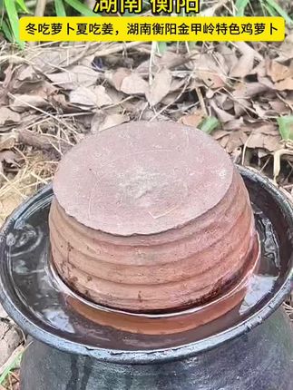 金甲岭萝卜,湖南省衡阳市珠晖区特产,全国农产品地理标志。2018年9月5日,中华人民共和国农业农村部正式批准对“金甲岭萝卜”实施农产品地理标志登记保护。#衡阳#金甲岭鸡萝卜#萝卜干#珠晖区#衡阳人在广州