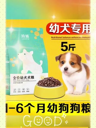 满月小奶狗狗粮1一3个月营养粮5斤泰迪贵宾土狗田园犬幼崽犬粮1斤#满月小奶狗狗粮#狗粮#狗粮推荐#奶狗狗粮#幼犬狗粮