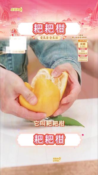 四川春见耙耙柑 皮薄易剥 鲜嫩多汁(4.5-5斤 #耙耙柑 #春见耙耙柑 #橘子 #桔子 #柑橘 四川春见耙耙柑 皮薄易剥