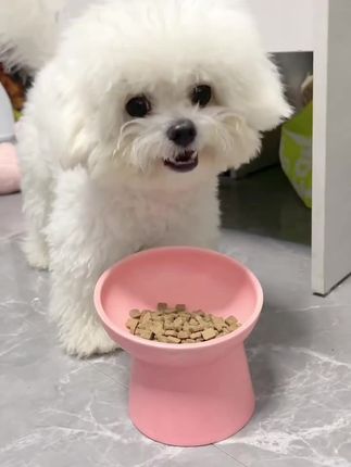 佰滋利狗粮通用型鲜肉营养全犬冻干粮泰迪博美比熊金毛宠物必备#狗狗的日常 #狗狗冻干零食 #狗狗的迷惑行为