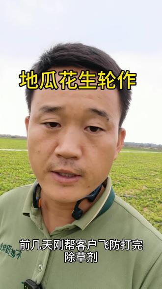 地瓜和花生轮作是不错选择!#地瓜种植 #花生种植