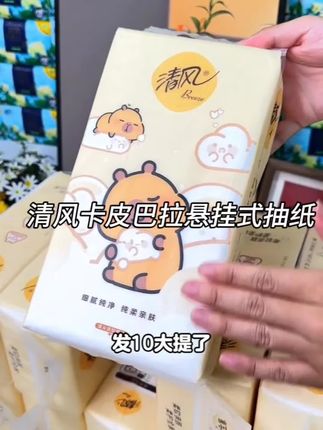 清风和卡皮巴拉联名的悬挂式抽纸真 的太好看太划算了,这么一提得用大半 年 #抽纸#悬挂抽纸#四层亲肤柔实力