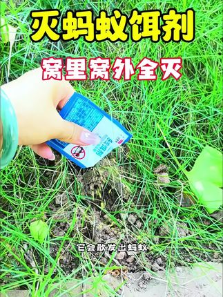 有一窝蚂蚁,把它撒下去#杀蚁饵剂 要不了多久,连蚂蚁窝都不见了#蚂蚁 #灭蚂蚁神器 #蚂蚁药