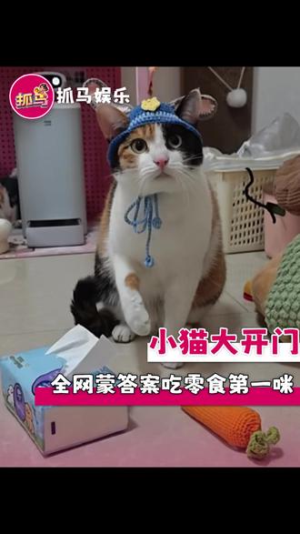 大开门:这把指定能对 #小猫 #萌宠 #搞笑 #萝卜纸巾猫