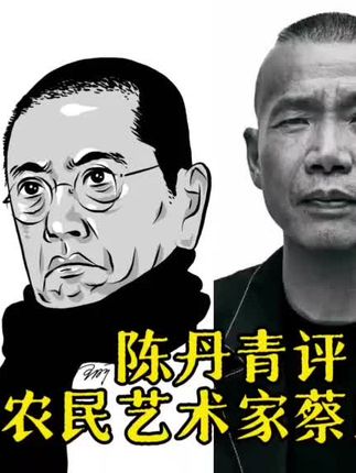 陈丹青评农民艺术家蔡国强 #蔡国强 #蔡国强的烟火艺术 #蔡国强烟花秀 #陈丹青 #艺术家