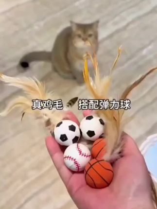 #宠物弹力鸡毛球 #宠物玩具 #萌宠好物 #新手养猫