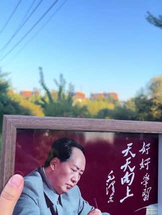 只要好好学习就能天天向上!#书桌摆台 #家居摆台 #室内摆件 #相框 #好物推荐🔥