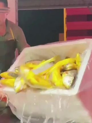 #海鲜水产 #黄花鱼