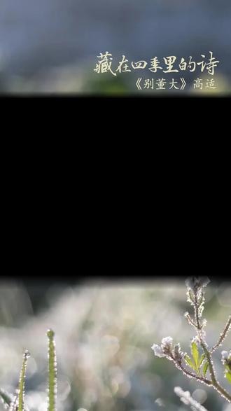 所遇皆坦途,心安即归处 #藏在四季里的诗 #《别董大》