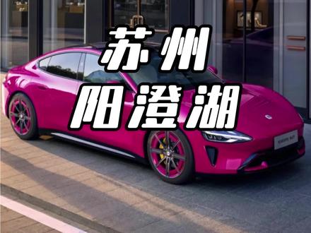 高速服务区开酒吧还真是第一次见 #阳澄湖服务区