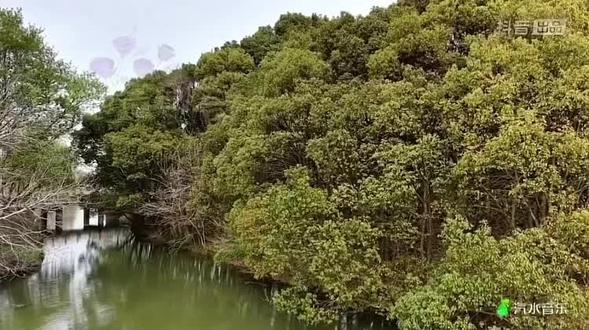 希望下次能见面#柏里挑怡#听到请回答#汽水音乐节#完整版