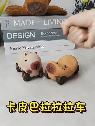 卡皮巴拉车拉伸玩具小汽车男女孩拉长变形滑行车解压减压神器捏捏#新奇特创意 #也太可爱了吧 #可爱 #小玩意