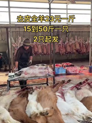 去皮全羊23元一斤，15到50斤一只，2只起发#全羊 #去皮全羊 #牛羊肉批发 #支持全国发货