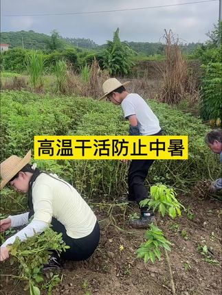 带儿女回农村体验生活,天气太热了,,要防止中暑防止低血糖 ~倒……,#天气热成狗 #低血糖#记录真实生活 #农村生活