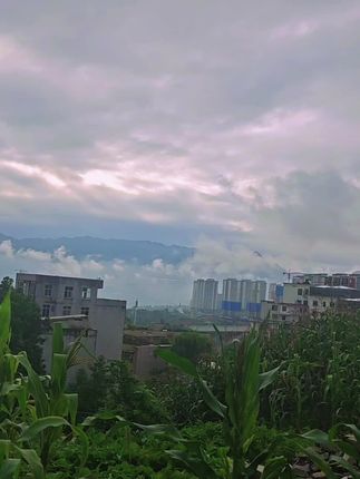 #清新空气 ,美好的一天,开始了 累了不怕,怕是没得累#上热搜