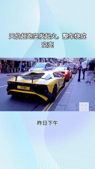 天价超跑突发起火,整车烧成空壳#小米