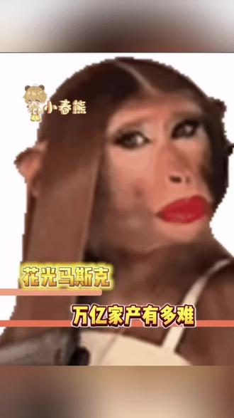 花光马斯克的万亿资产有多难! #马斯克 #马斯克冲击全球首位万亿美元富翁 #万万没想到