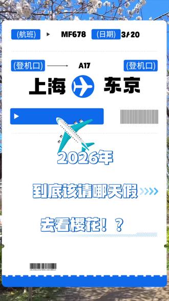 不是打卡,是一整天的节奏,樱花季这样玩 #Ebisu日本観光旅行 #日本樱花 #樱花 #春天 #东京