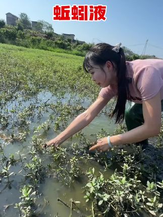#抓黄鳝 #真实户外 #捉鱼 #蚯蚓液