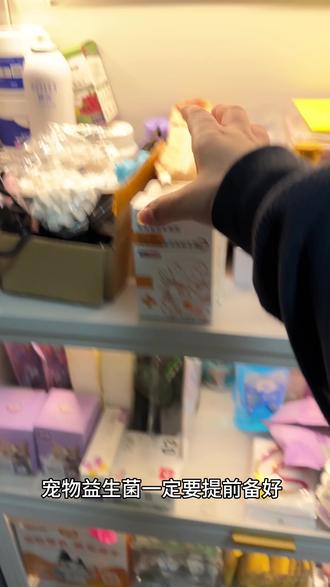 养宠必备益生菌!毛孩子肠胃脆弱,益生菌可少不了#佑多萌#佑多萌萌小畅#宠物益生菌#猫咪肠胃问题#罗伊氏乳杆菌