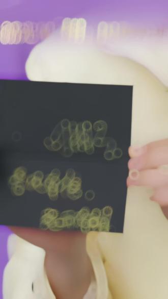 开出下一个花期🌸#韩束 #txn #田栩宁