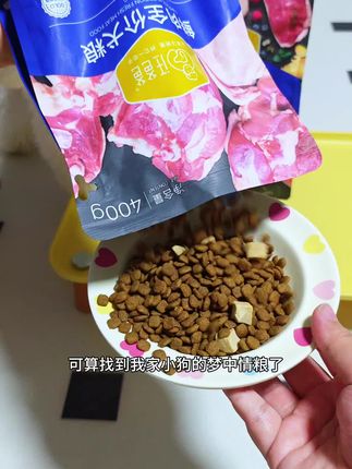 汪爸爸狗粮#狗粮 #狗粮推荐 #汪爸爸狗粮 #汪爸爸 #比熊