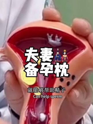 #无限回购的宝藏单品 夫妻为了备孕真是无所不用其极,垫高真的有用吗?解决根本问题才能有效真谛#备孕 #备孕知识 #夫妻房事枕#夫妻恩爱枕