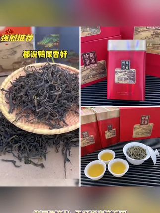 鸭屎香茶叶手打柠檬茶专用凤凰单枞乌龙茶摆摊奶茶店原料250g#好用 #热卖 #爆款推荐