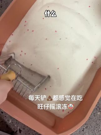 猫砂都能做旺仔摇滚冻了,你在用豆腐渣,关键8包纯木薯砂才两位数呀#猫砂测评 #木薯猫砂 #无限回购的宝藏单品 #猫砂推荐