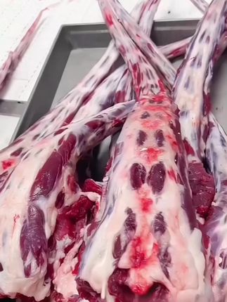 #牛尾骨 #牛肉 #好吃不贵经济实惠 #超便宜超划算 #牛尾骨汤