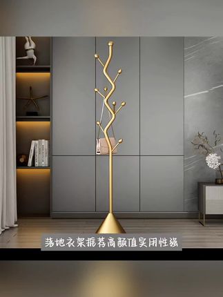 火南北轻奢挂衣架衣架子落地式挂衣服卧室家用客厅立式简易衣帽架 #火南北挂衣架 #轻奢衣帽架 #落地式衣架 #卧室家具