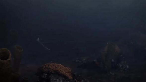 当99%的玩家狂点“防御”天赋时,真正的赢家全选了神经发育 #科普 #神奇动物在抖音 #古生物 #进化