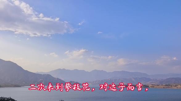 再赴攀枝花,一路向南赴春光#随走随拍记录美好生活 #创作者中心 #创作灵感