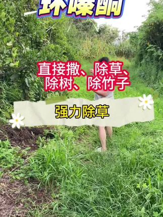 #正能量#正能量传递#正能量上热榜#一念江南官宣#李羲承让粉丝闭眼