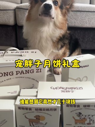 没吃到月饼的狗子又开始拆家啦。吓得我赶紧给安排了一套月饼礼盒#新手养狗#精致小狗的一天 #宠胖子#萌宠好物 #好物推荐🔥