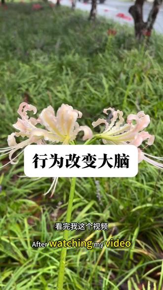 是行为改变大脑,哎呀,我真的不想告诉你们#认知#人性#陈昌文老板社群#陈昌文读书会