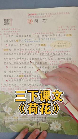 三下课文预习,《荷花》#小学生作文 #小学语文 #三年级语文 #语文