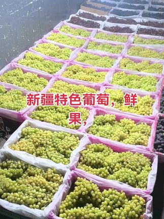 来新疆特色葡萄鲜果全部到货啊,现摘现发,新疆顺丰空运直发,不是新疆发货不要钱!#无核白葡萄 #蓝宝石葡萄 #红提 #葡萄 #木纳格葡萄
