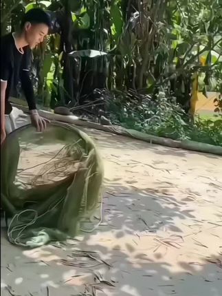 鱼网【超大口径】自动圆形便携式折叠网户外提网抄网送饵料配件#户外钓鱼 #折叠鱼网#爱生活爱钓鱼#我的乡村生活