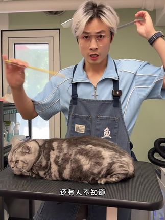 还有宝子不知道梳子怎么选?优选X6盲选X5,我同款X9#萌宠好物 #萌宠出道计划 #猫毛解决方案