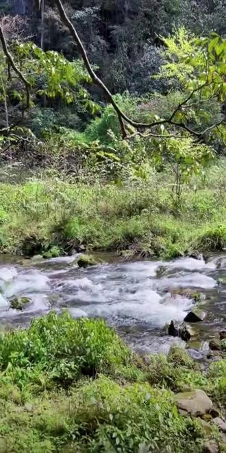 #许我耀眼 #赵露思 #陈伟霆 #赵露思 #许妍