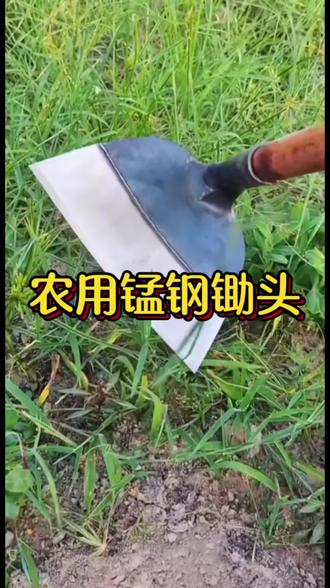 锰钢农用锄头! 这款农用长柄锄草神器绝对是种地人的得力帮手!🔥 采用全钢加厚打造,坚固耐用,杜绝断裂风险!加长木柄设计,弯腰不累,省力得心应手。🌱 锋利刃口深耕破土,锄草、松土、开沟一把搞定,效率比人工提升数倍!结构稳固,经久耐用,田埂、菜园、果园都适用。一把好农具,让你干活更轻松,是农户增收提效的必备神器!#锰钢农用锄头 #农民好帮手省时又省力 #锰钢锄头除草 #加厚锰钢农用锄头 #农民好帮手